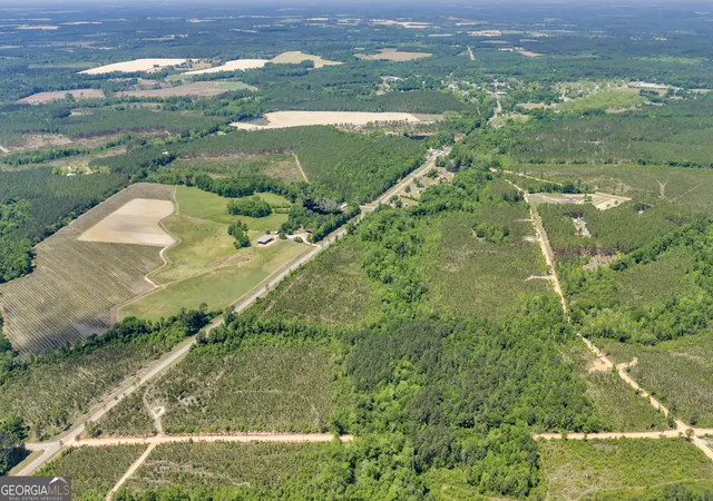 5th image of 19 Hwy 126, Alamo, GA 30411 | MLS# 10784602