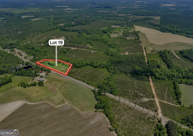 7th image of 19 Hwy 126, Alamo, GA 30411 | MLS# 10784602