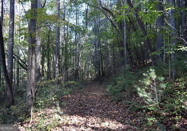 12th image of 3298 Acres Zion Hill Rd, Ellijay, GA 30540 | MLS# 10673564