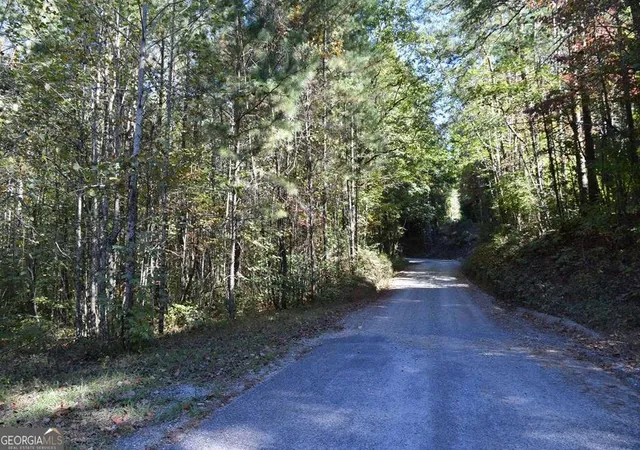 2nd image of 3298 Acres Zion Hill Rd, Ellijay, GA 30540 | MLS# 10673564