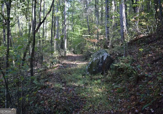 5th image of 3298 Acres Zion Hill Rd, Ellijay, GA 30540 | MLS# 10673564