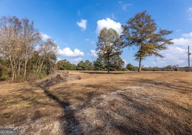 Homes for sale in Waverly Hall, GA | 0 Ga 85 Hwy, Waverly Hall, GA 31831 | MLS# 10767610