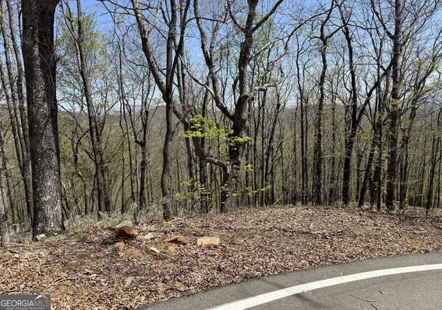 Photo 1 of Land for sale at 7248 Ridgeview Dr, Jasper, GA 30143 | MLS# 10494455 | Listing updated on 2026-04-02