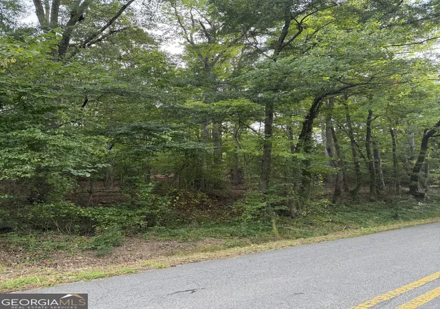 3rd image of 0 Callier Springs Rd, Rome, GA 30161 | MLS# 10795947