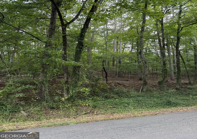 4th image of 0 Callier Springs Rd, Rome, GA 30161 | MLS# 10795947