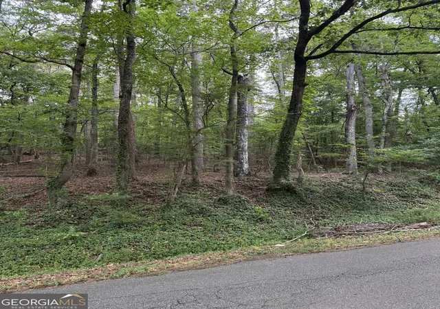 5th image of 0 Callier Springs Rd, Rome, GA 30161 | MLS# 10795947