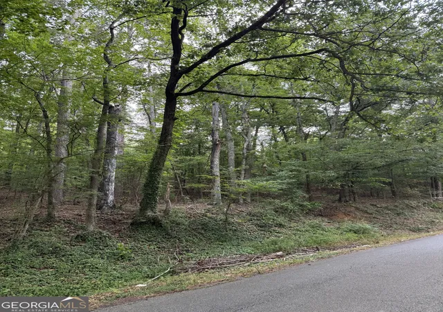6th image of 0 Callier Springs Rd, Rome, GA 30161 | MLS# 10795947