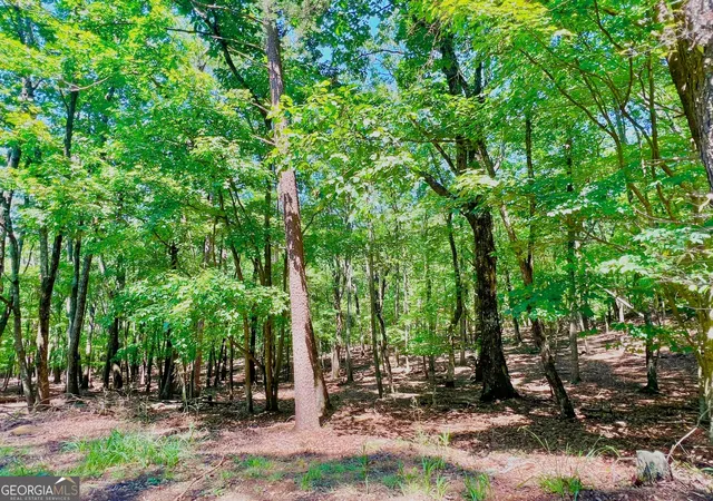 Photo 1 of Sale Pending at 1481 Briar Vis, Jasper, GA 30143 | MLS# 10587320 | Listing updated on 2025-11-11