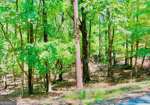 Photo 4 of Sale Pending at 1481 Briar Vis, Jasper, GA 30143 | MLS# 10587320 | Listing updated on 2025-11-11