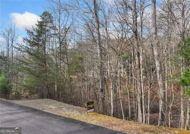 4th image of 49 Old Stamp Mill Rd, Dahlonega, GA 30533 | MLS# 10802744