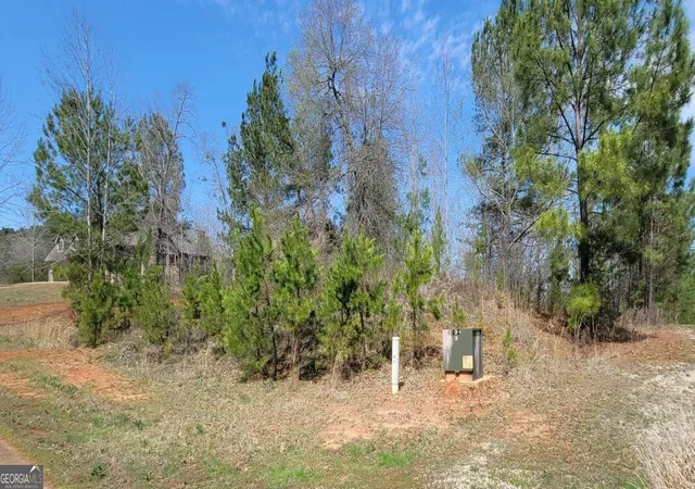 Homes for sale in Toccoa, GA | 334 Edgewater Trl S, Toccoa, GA 30577 | MLS# 10794721