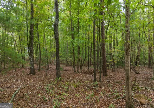 Land for sale at 0 Rider Rd, Dawsonville, GA 30534 | MLS# 10408283