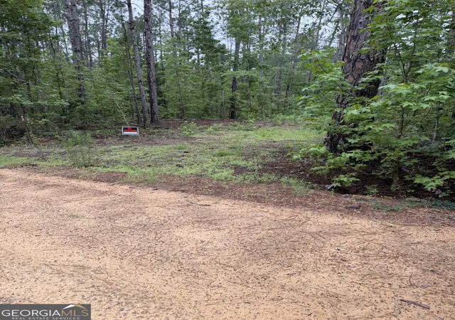 1st image of 0 Hwy 46, Cadwell, GA 31009 | MLS# 10775545
