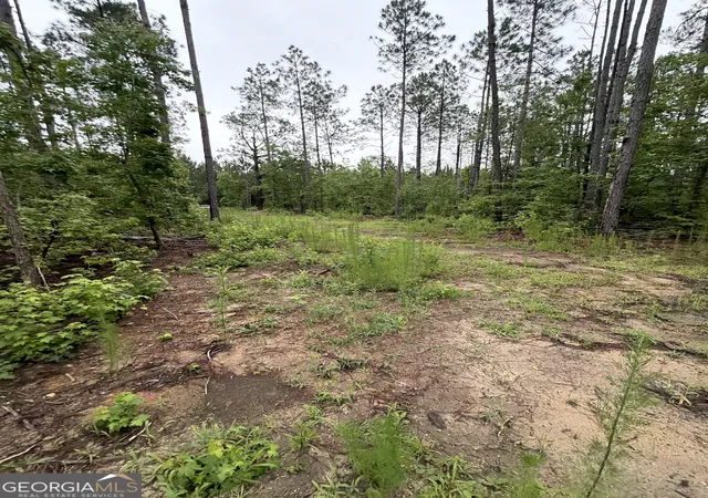 4th image of 0 Hwy 46, Cadwell, GA 31009 | MLS# 10775545