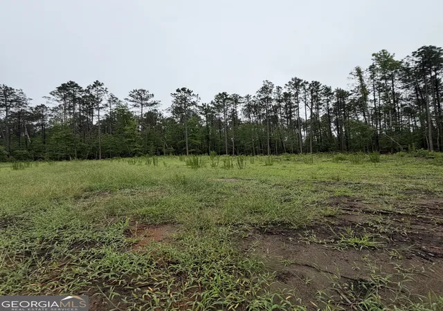 5th image of 0 Hwy 46, Cadwell, GA 31009 | MLS# 10775545