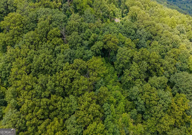 Homes for sale in Ellijay, GA | Lot 274 Andes Ridge, Ellijay, GA 30540 | MLS# 10786892