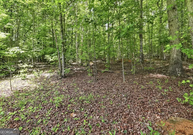 2nd image of 171 Laceola North Rd, Cleveland, GA 30528 | MLS# 10784898