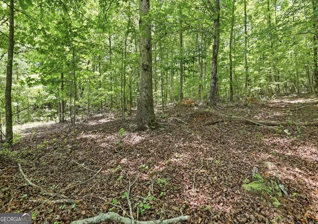3rd image of 171 Laceola North Rd, Cleveland, GA 30528 | MLS# 10784898
