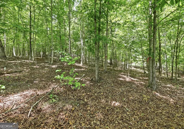 4th image of 171 Laceola North Rd, Cleveland, GA 30528 | MLS# 10784898