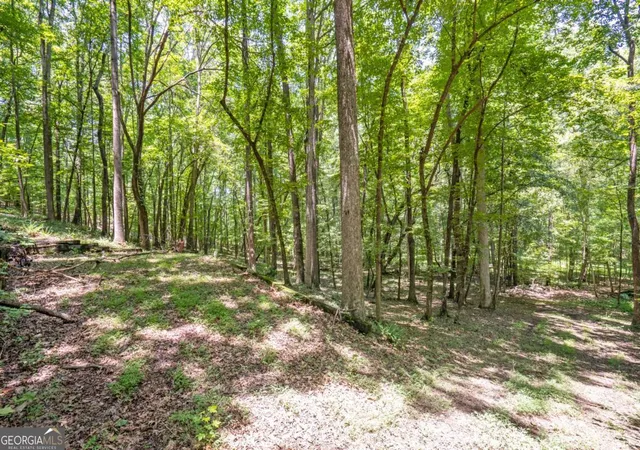 30th image of 533 Mulberry Rd, Winder, GA 30680 | MLS# 10798322