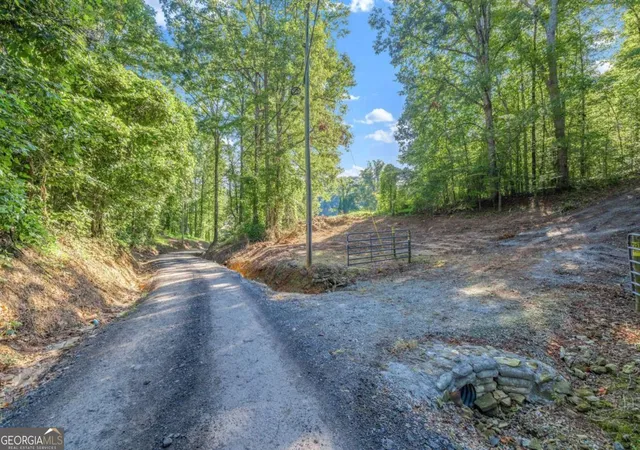 4th image of 0 Myrtle Dr, Dahlonega, GA 30533 | MLS# 10756981