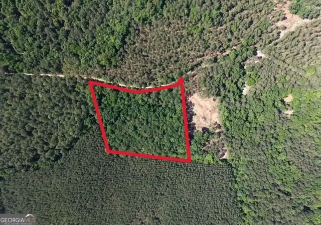 5th image of 580 Saggus Rd, Washington, GA 30673 | MLS# 10757093