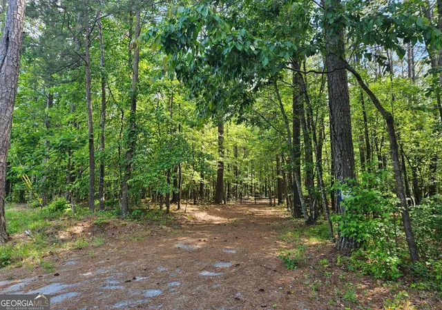 1st image of 0 Ponderosa, Dallas, GA 30132 | MLS# 10763746