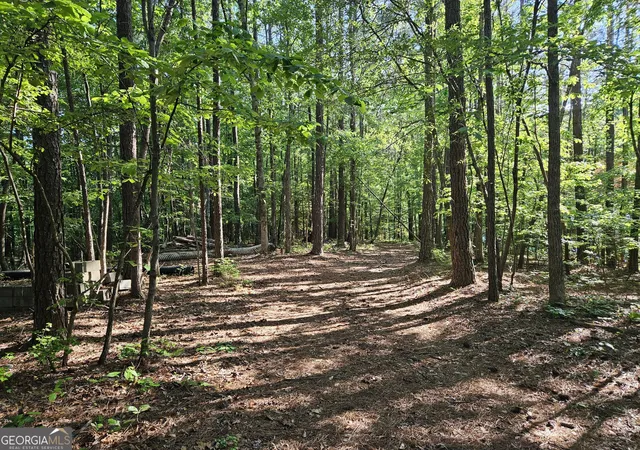 Photo 4 of Land for sale at 0 Ponderosa, Dallas, GA 30132 | MLS# 10763746 | Listing updated on 2026-06-19