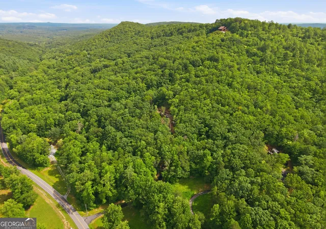44th image of 3014 Oakey Mountain Rd, Clarkesville, GA 30523 | MLS# 10803826