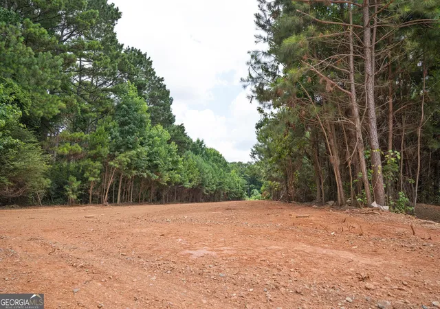 Homes for sale in Culloden, GA | 111 Askin Pl, Culloden, GA 31016 | MLS# 10802536
