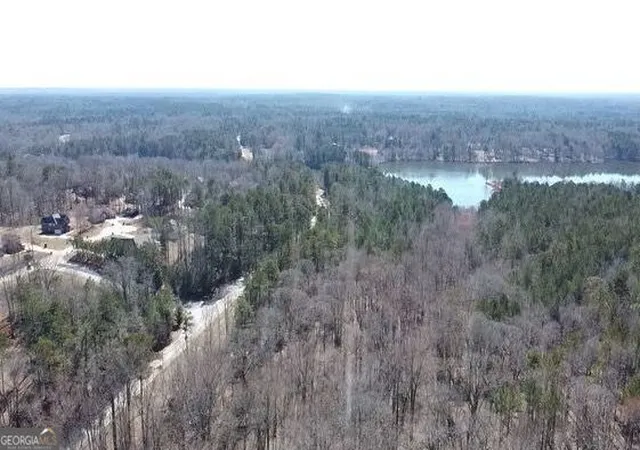 2nd image of 12425 Panhandle Rd, Hampton, GA 30228 | MLS# 10819459