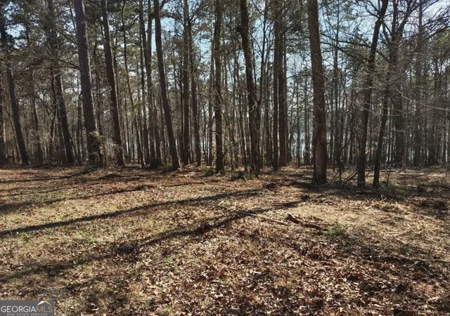 3rd image of 12425 Panhandle Rd, Hampton, GA 30228 | MLS# 10819459