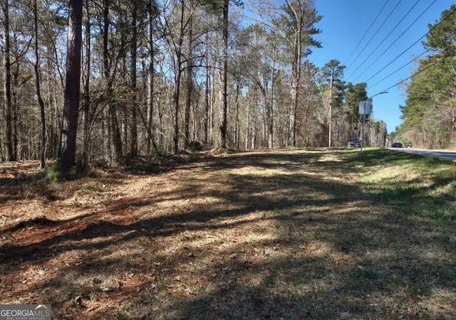 4th image of 12425 Panhandle Rd, Hampton, GA 30228 | MLS# 10819459