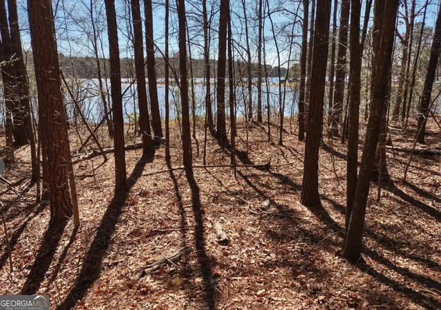5th image of 12425 Panhandle Rd, Hampton, GA 30228 | MLS# 10819459