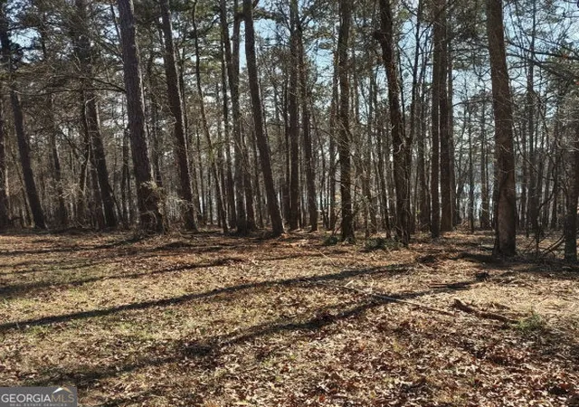 7th image of 12425 Panhandle Rd, Hampton, GA 30228 | MLS# 10819459