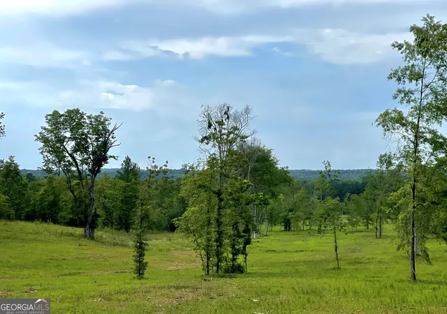 Photo 1 of Land for sale at 592 Arnold Caldwell Rd, Carlton, GA 30627 | MLS# 10832975 | Listing updated on 2026-08-26