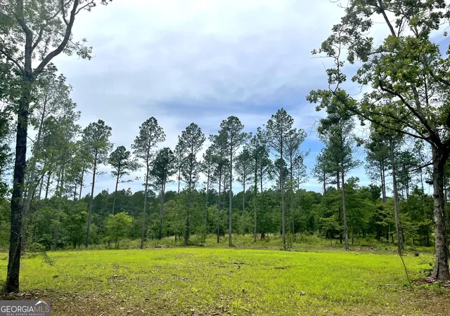 Photo 2 of Land for sale at 592 Arnold Caldwell Rd, Carlton, GA 30627 | MLS# 10832975 | Listing updated on 2026-08-26