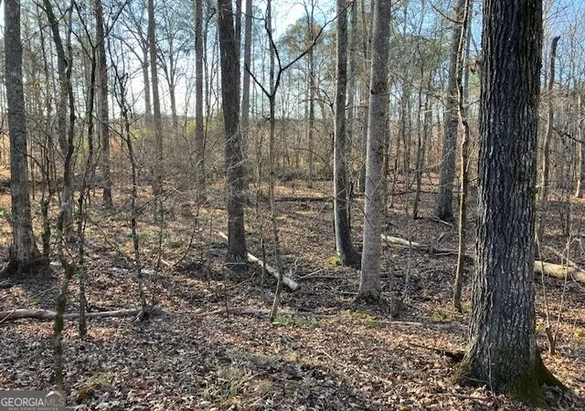 3rd image of 352 Woodville Philomath Rd, Rayle, GA 30660 | MLS# 10825107