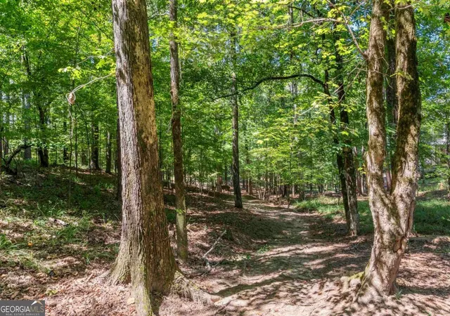 47th image of 1000 Troublesome Creek Ln, Greensboro, GA 30642 | MLS# 10655076
