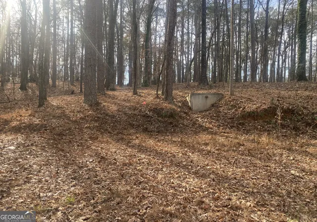 Photo 4 of Land for sale at 3353 Galts Rd, Acworth, GA 30102 | MLS# 10658021 | Listing updated on 2026-01-22