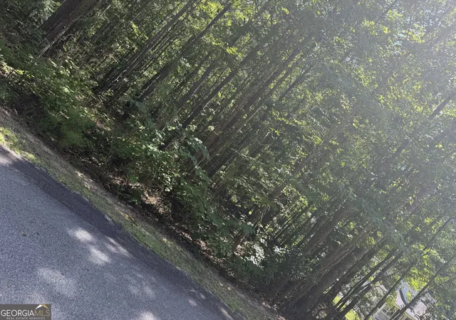 1st image of 0 Opal St, Luthersville, GA 30251 | MLS# 10829166