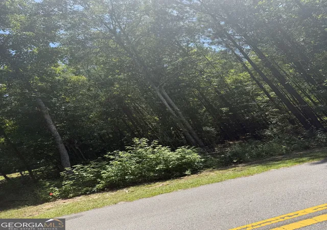 2nd image of 0 Opal St, Luthersville, GA 30251 | MLS# 10829166