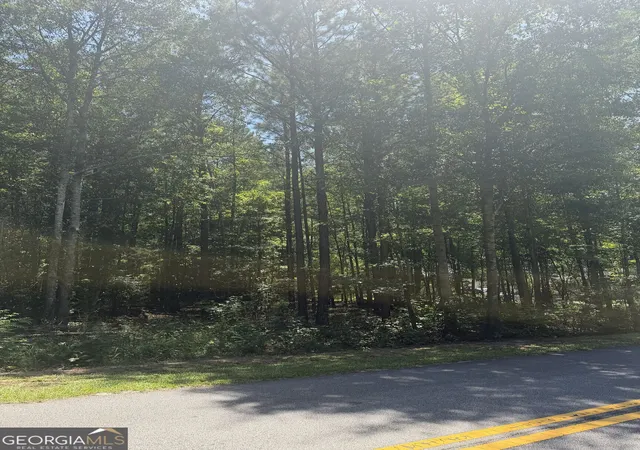 Photo 3 of Land for sale at 0 Opal St, Luthersville, GA 30251 | MLS# 10829166 | Listing updated on 2026-09-02