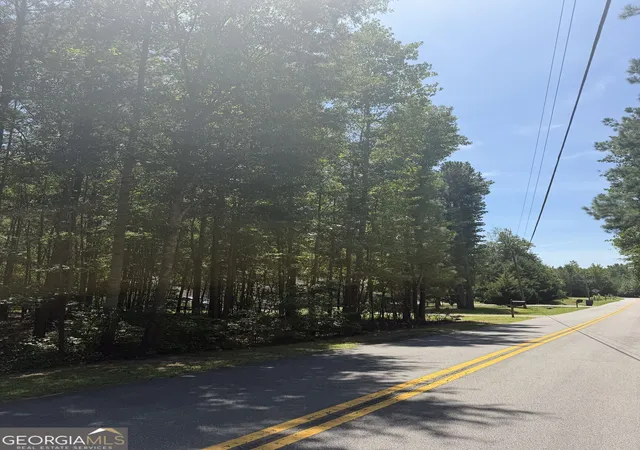 4th image of 0 Opal St, Luthersville, GA 30251 | MLS# 10829166
