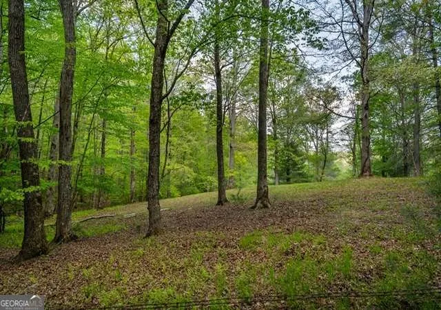 1st image of Lot 3 4 Scouts Overlook Ln, Morganton, GA 30560 | MLS# 10795252