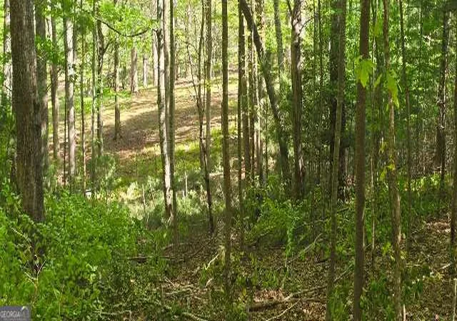 2nd image of Lot 3 4 Scouts Overlook Ln, Morganton, GA 30560 | MLS# 10795252