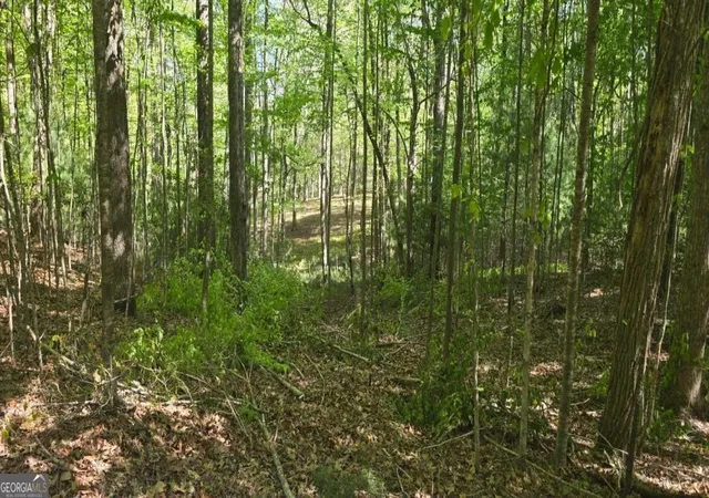 3rd image of Lot 3-4 Scouts Overlook Ln, Morganton, GA 30560 | MLS# 10795252