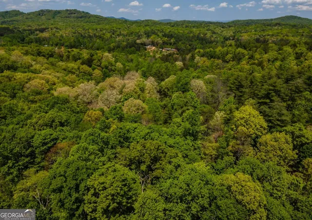 48th image of Lot 3 4 Scouts Overlook Ln, Morganton, GA 30560 | MLS# 10795252