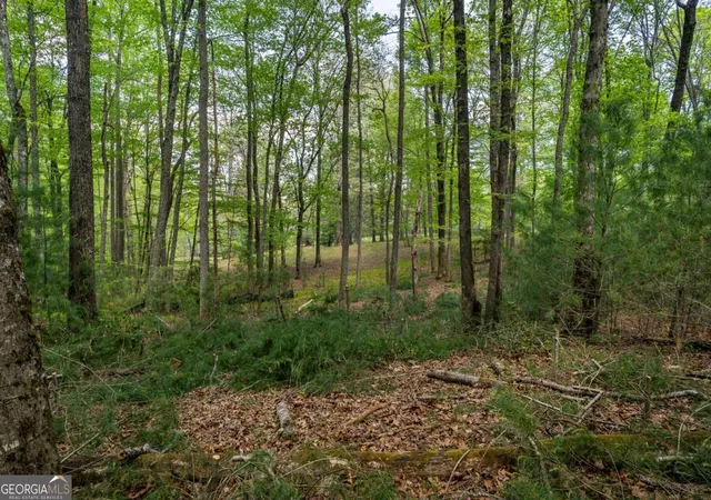 4th image of Lot 3-4 Scouts Overlook Ln, Morganton, GA 30560 | MLS# 10795252