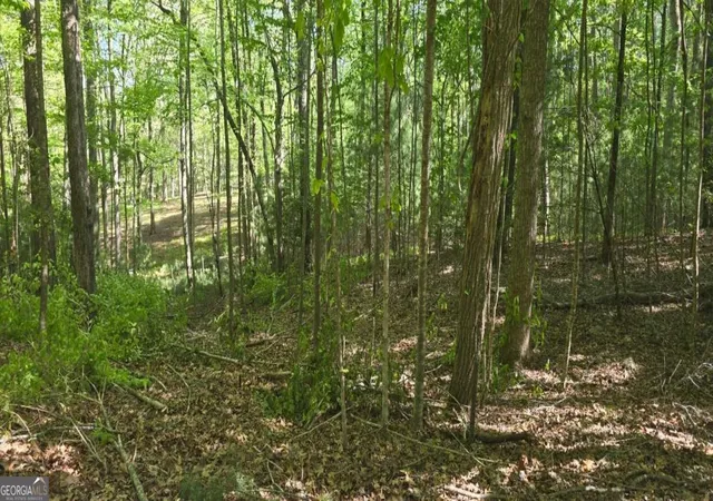 5th image of Lot 3-4 Scouts Overlook Ln, Morganton, GA 30560 | MLS# 10795252